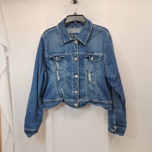 Amethyst Size 2XL Cropped Distressed Denim Long Sleeve Button Up Jacket Western